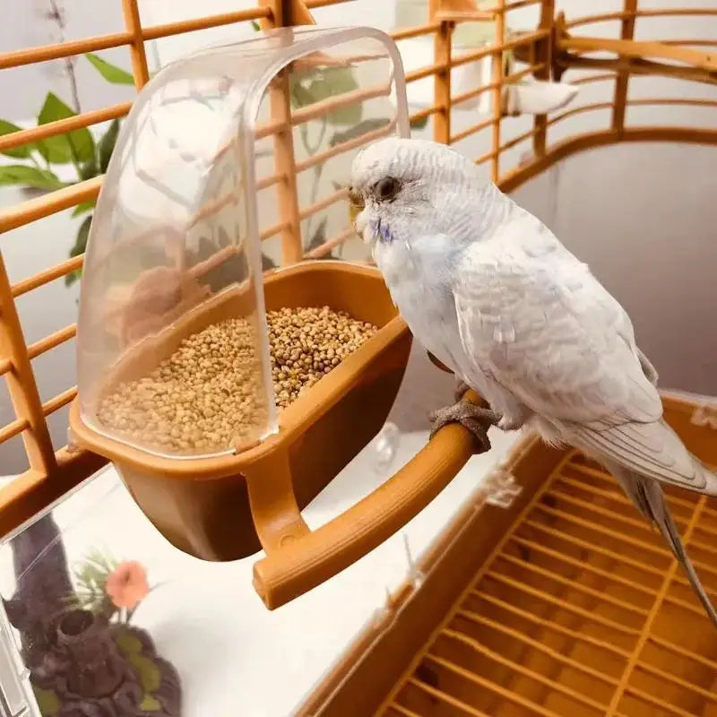 Clear Hanging Bird Cage Feeder Bowl with Stand | 3 Colors Bird Cage Feeder Qme