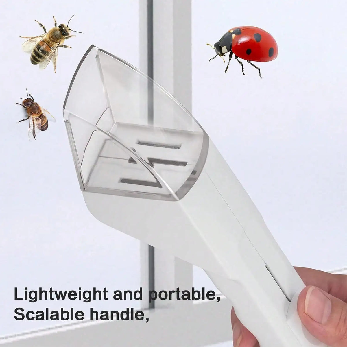 Handheld Insect Trap – Spider, Bee & Bug Capture Tool Insect Capture Tool Qme