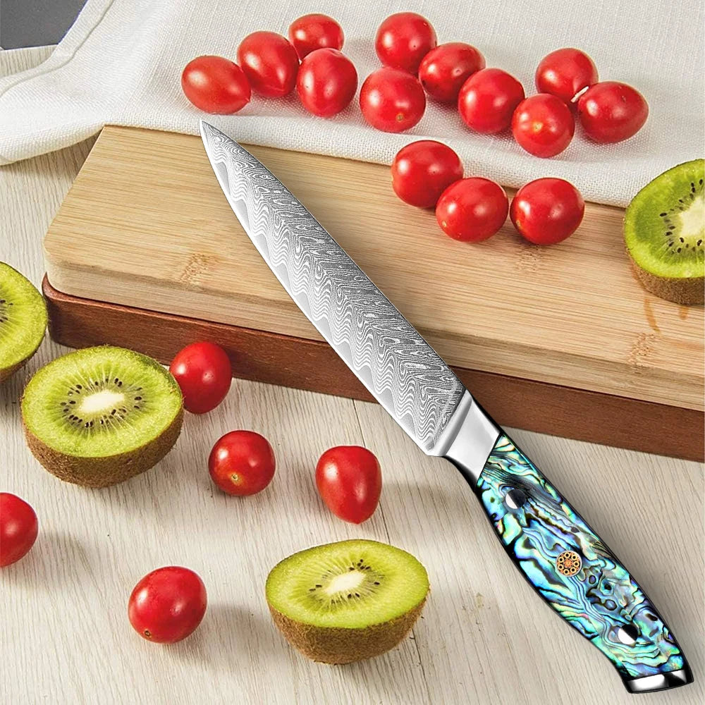 XITUO 5-Inch Damascus Steel Utility Knife – Full Tang Japanese Damascus Utility Knife Qst