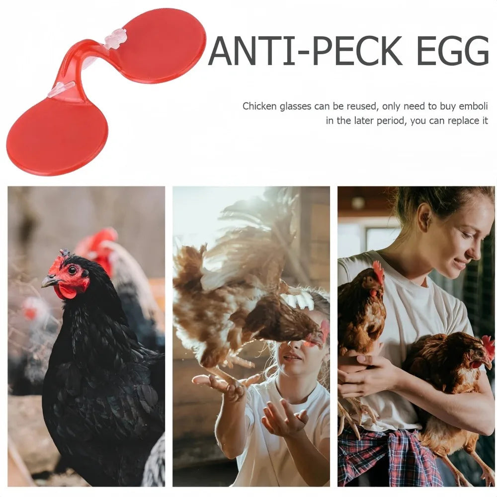 Peck-Resistant Chicken Goggles | Plastic Poultry Eye Protection Poultry Safety Goggles Qme