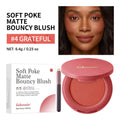 Matte Blush with Brush – Soft Focus Air Cushion Cheek Color Matte Blush Powder Qst 04