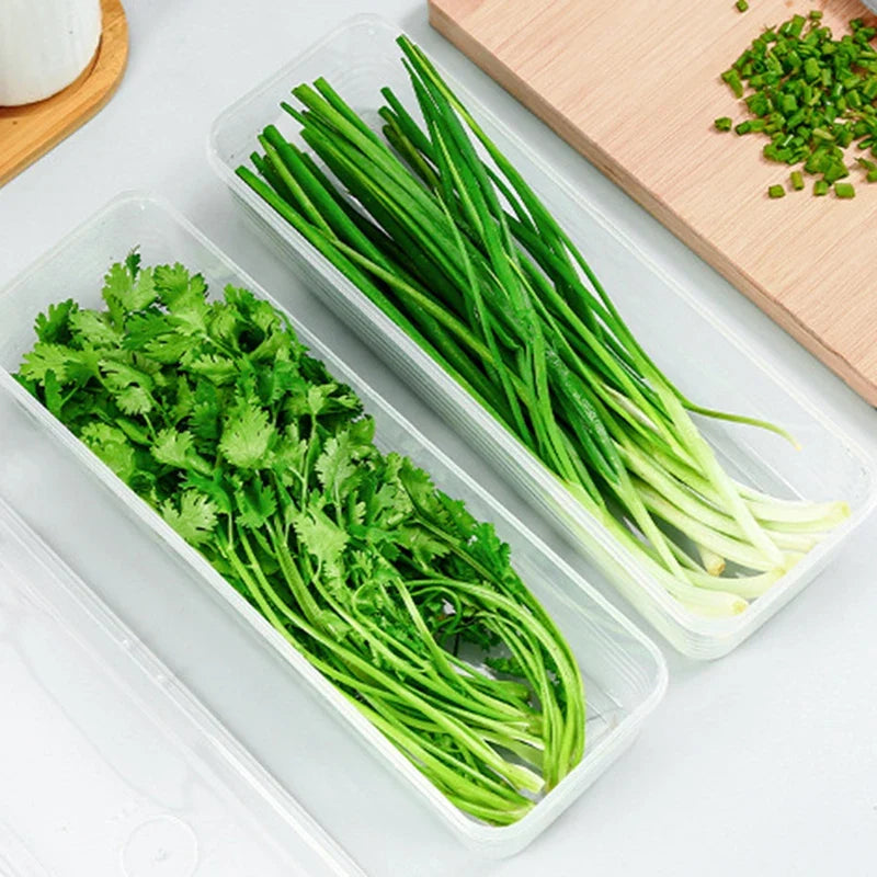 Sealed Fridge Crisper Box for Scallions & Herbs | 29cm Food Storage Container Qme