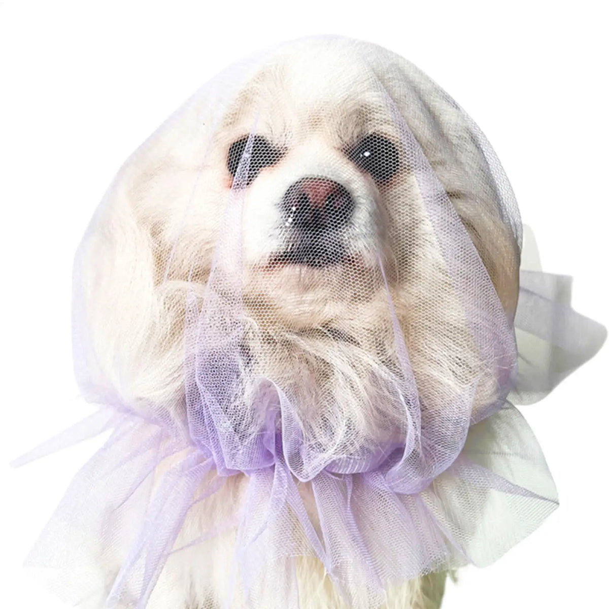 Breathable Soft Mesh Dog Muzzle – Small Breeds | Qme Dog Muzzle Qme