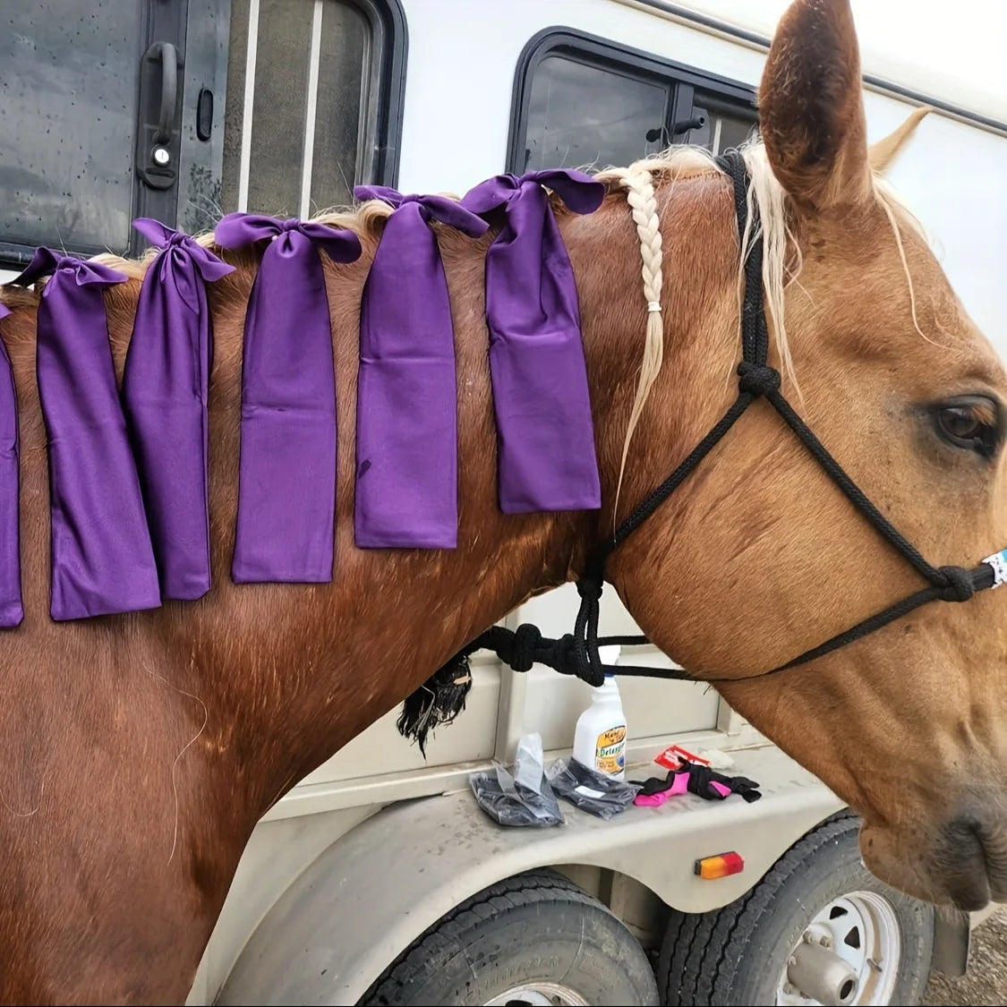 Horse Mane Protection Sleeve Anti-Friction Guard – 8 Pcs Equine Mane Guard Qme PURPLE