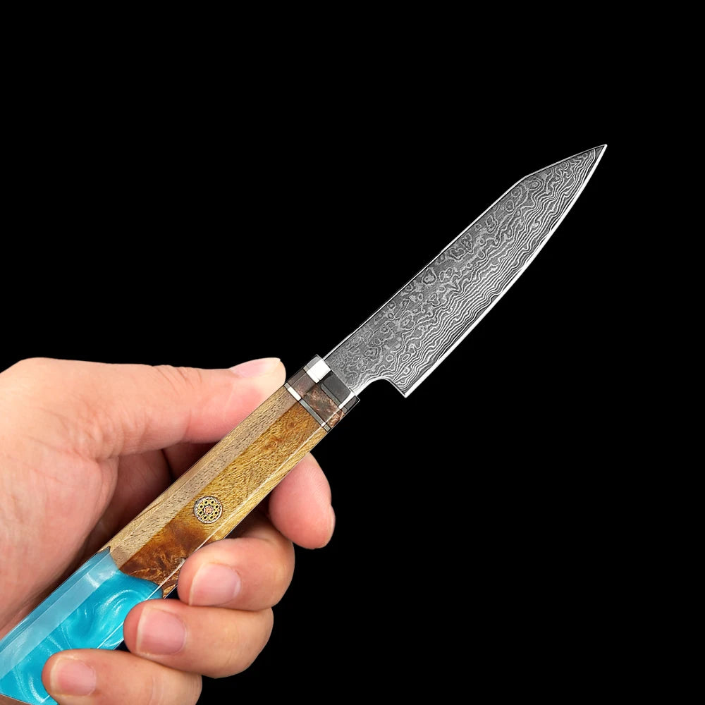 XITUO 4-Inch Damascus Steel Paring Knife – Resin & Wood Handle Damascus Paring Knife Qst