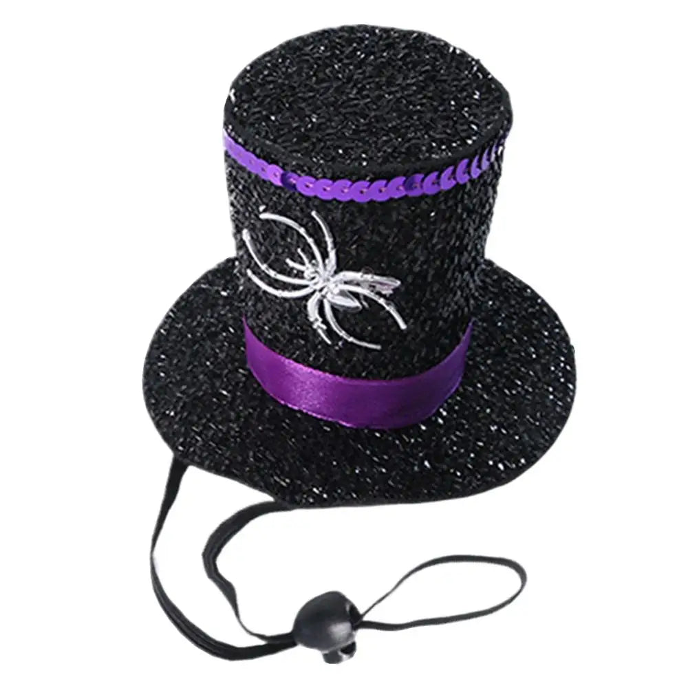 Halloween Witch Hat Spider Pet Costume for Dogs & Cats Pet Halloween Costume Qme as shown China Mainland
