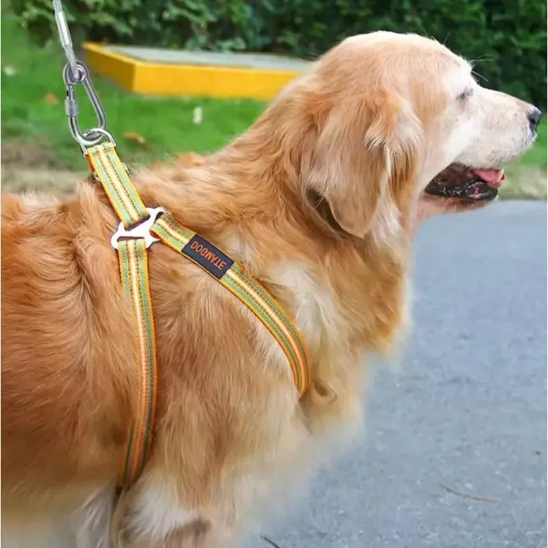 Double-Headed Dog Tie Out Cable Leash | Stainless Steel Dog Tie Out Cable Qme