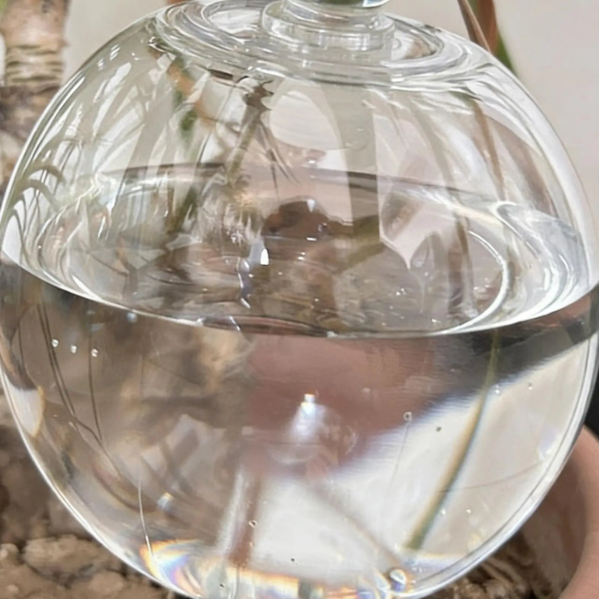 Clear Automatic Plant Watering Bulbs Globes – 4 Pack with Lid Plant Watering Globes Qme