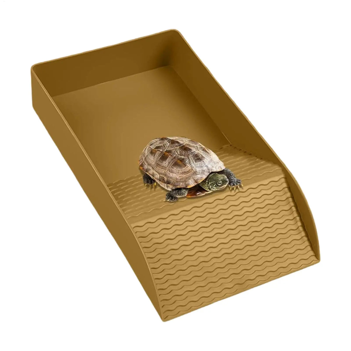 Tortoise Water Bowl & Reptile Bathing Dish with Ramp | Qme Reptile Bathing Dish Qme