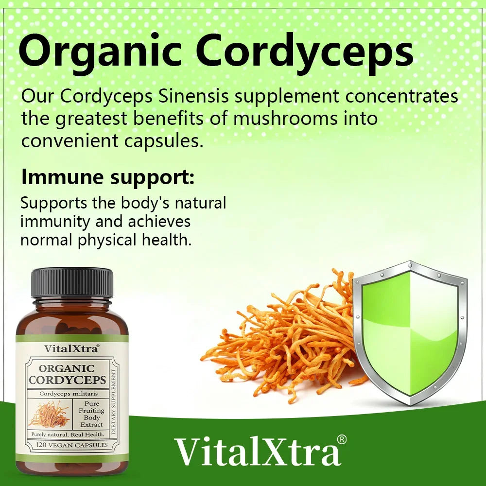 Organic Cordyceps Sinensis 1000mg – Energy & Endurance | 120 Caps Mushroom Supplement Qst