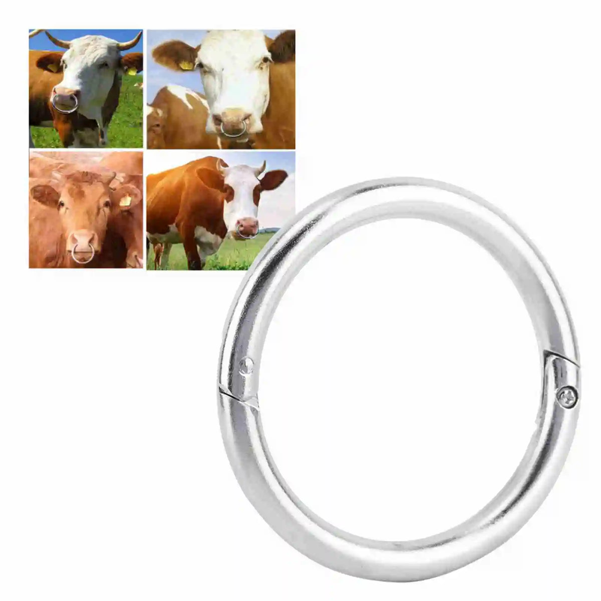 Stainless Steel Bull Cattle Nose Ring – Durable Livestock Loop Livestock Nose Ring Qme