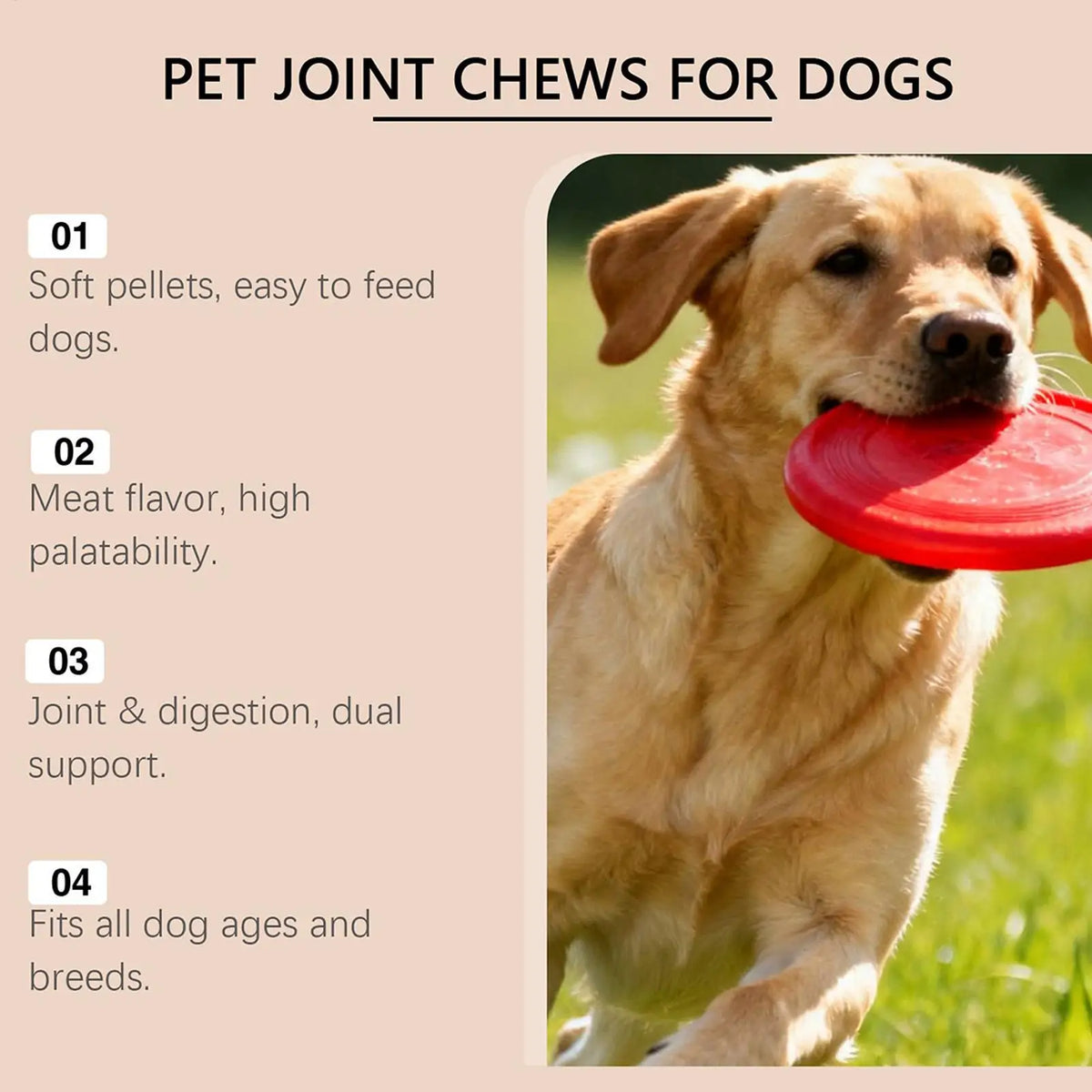 Dog Joint Support Chews – 100-Count Hip & Mobility Supplement Dog Joint Supplement Qme