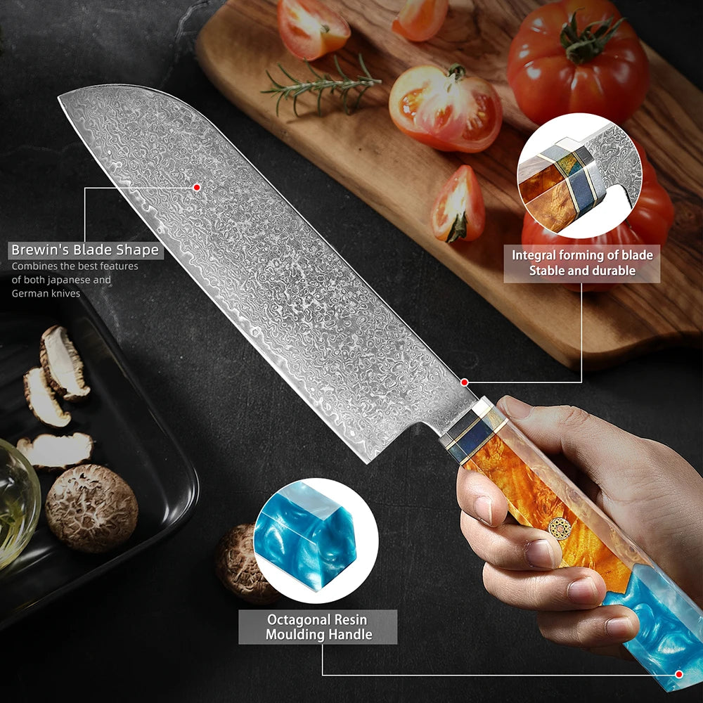 XITUO Damascus Santoku Knife – 67-Layer VG10 Japanese Steel Santoku Kitchen Knife Qst