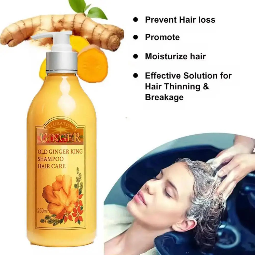 Old Ginger Juice Shampoo – Professional Scalp Treatment 1L Scalp Treatment Shampoo Qme
