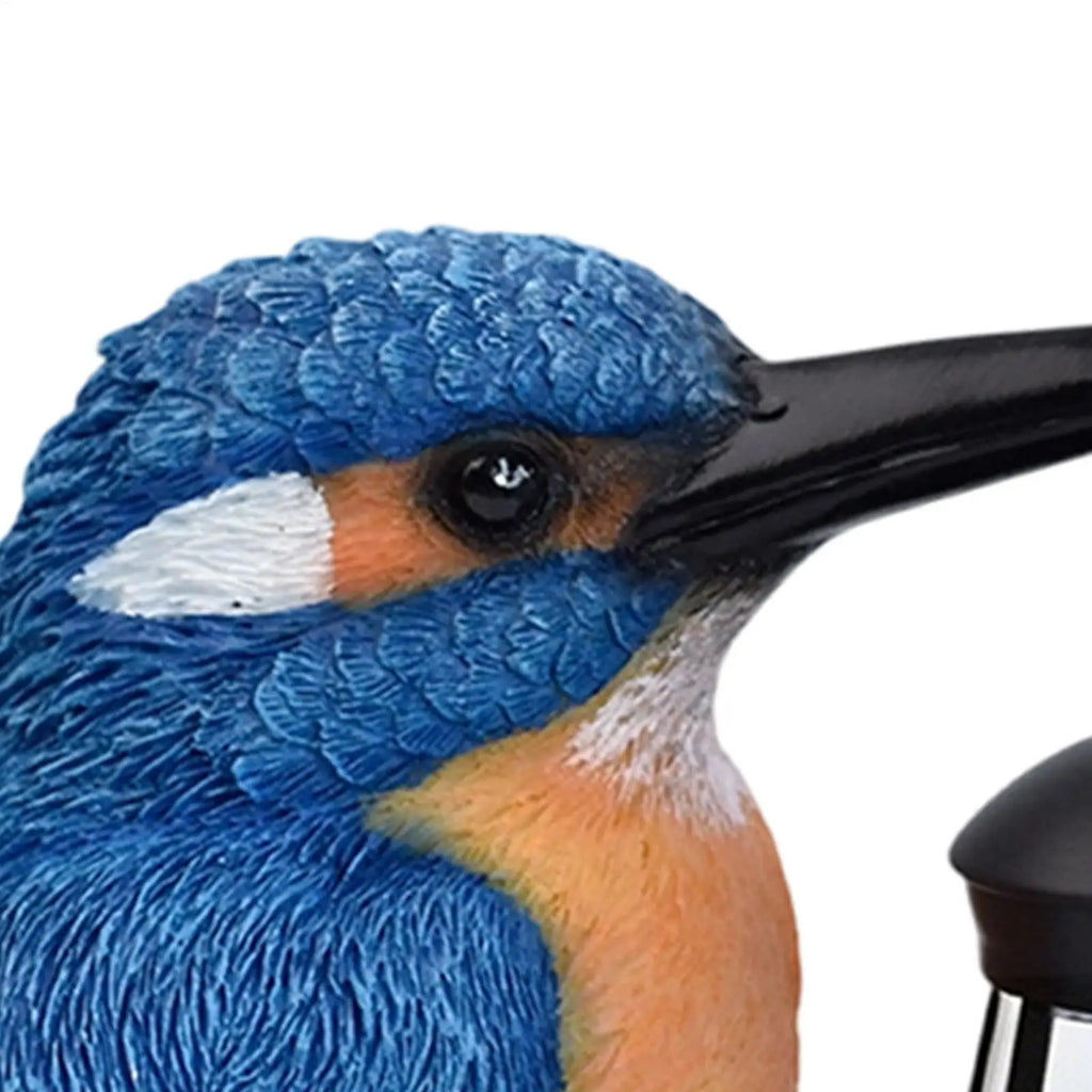 Solar Blue Kingfisher Garden Statue with Lantern | Outdoor Solar Garden Statue Qme