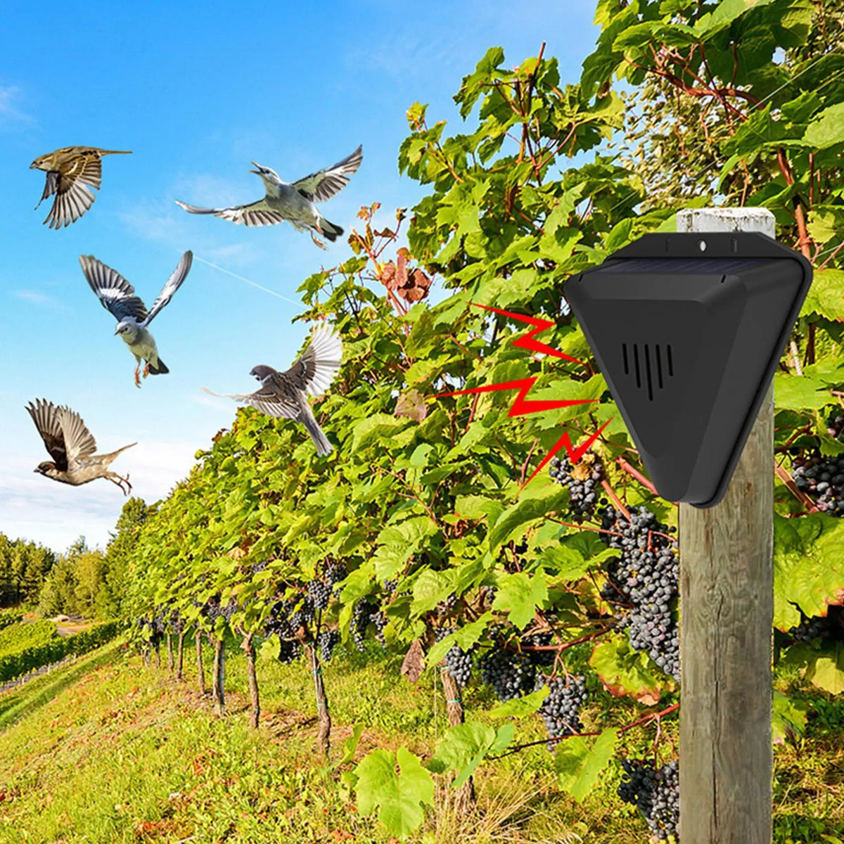 Solar Bird Repeller Outdoor – 13 Sound Modes, Waterproof Solar Animal Repeller Qme