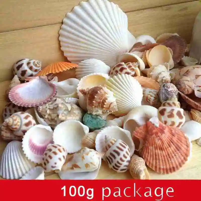 Mixed Sea Beach Shells – Aquarium Decor, Crafts & Photo Props Decorative Seashells Qme multi-color