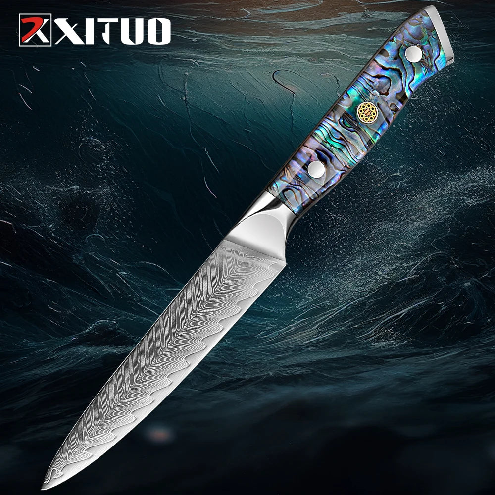 5" VG10 Damascus Paring Knife – Sharp Fruit & Veg Peeling Knife Damascus Paring Knife Qst