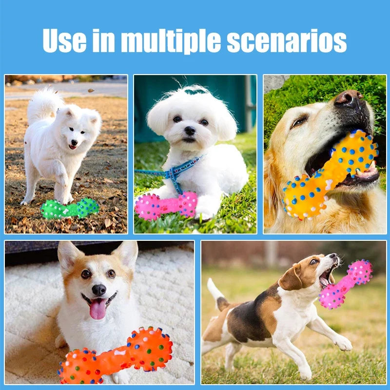 Natural Rubber Dog Chew Toy – Flexible, Safe & Eco-Friendly Dog Chew Toy Qme