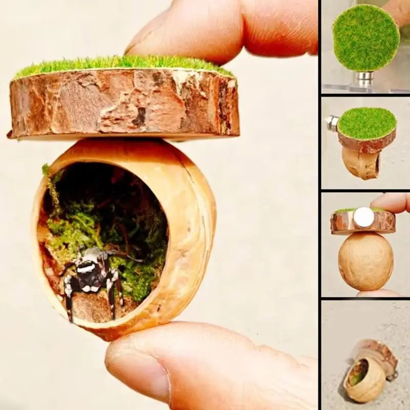 Handmade Mini Jumping Spider Hide Cave – Wood & Walnut Enclosure Spider Enclosure Hide Qme