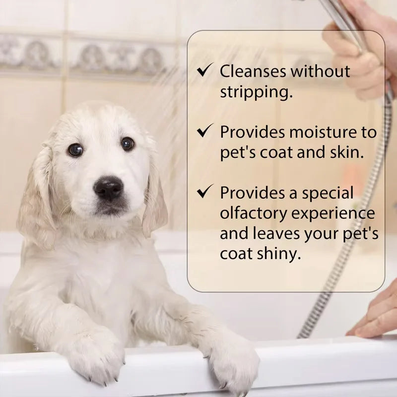 Qme Gentle Pet Shampoo for Cats & Dogs – Soft & Tangle-Free Pet Grooming Shampoo Qme