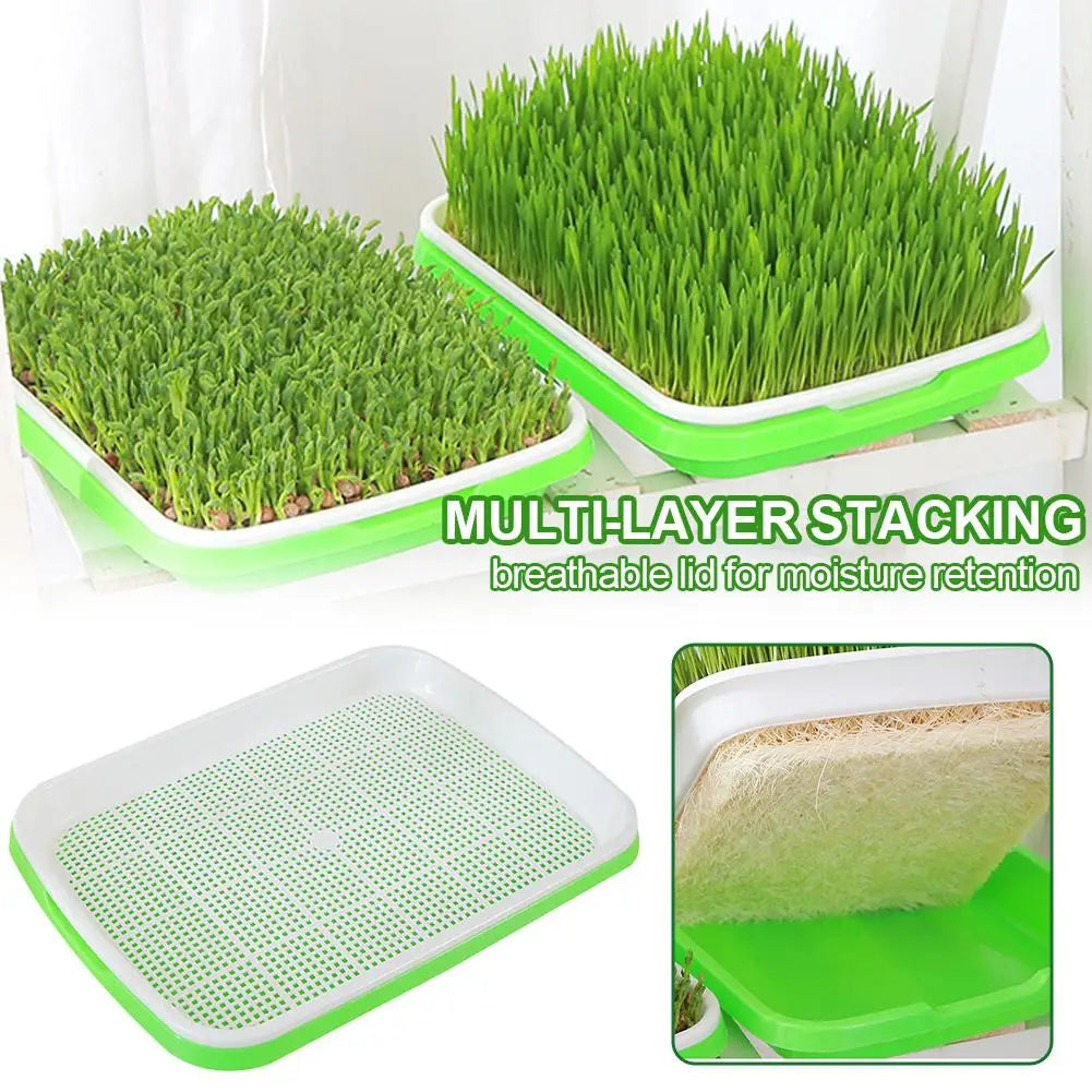 Soilless Seedling Sprouter Tray | Hydroponic Seed Germination Hydroponic Sprouting Tray Qme