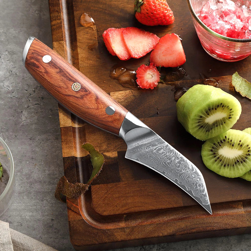 SHENGSHARP 3" Damascus Steel Paring Knife – 67 Layer Rosewood Damascus Paring Knife Qst