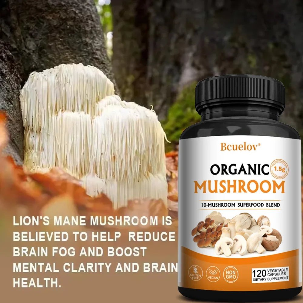 Mushroom Complex – Lion's Mane, Reishi & Cordyceps Capsules Mushroom Supplement Qst