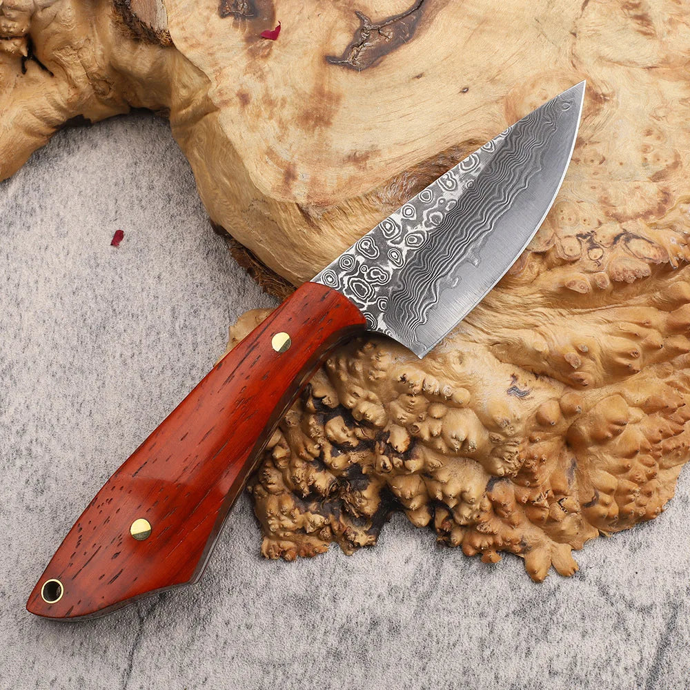 VG10 Damascus Steel Fixed Blade Knife – Sandalwood Handle EDC Fixed Blade Knife Qst