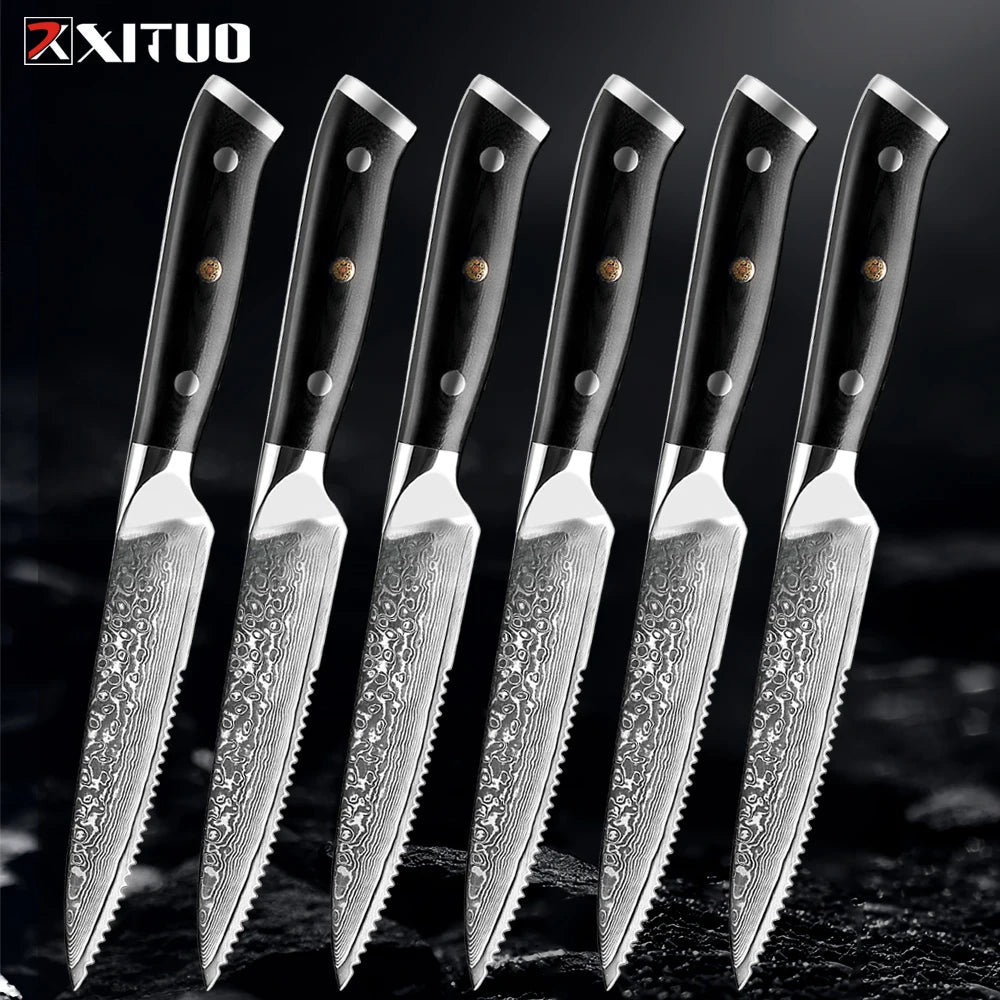 XITUO Damascus Steel Steak Knife Set – 67-Layer G10 Handle Damascus Steak Knife Set Qst 6pc steak knife