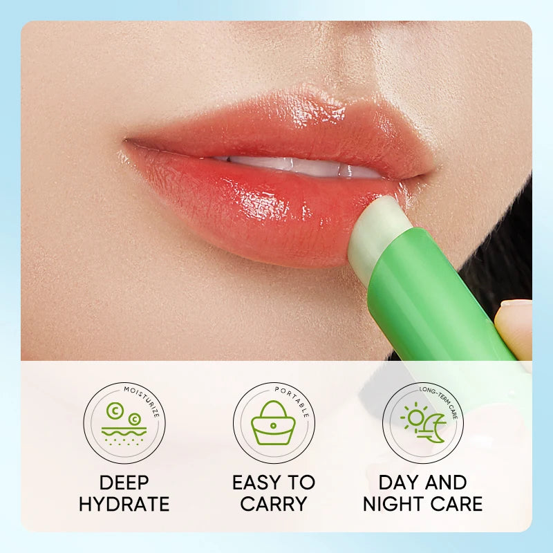 Aloe Vera Lip Balm – Hydrating, Nourishing & Moisturizing Lip Balm Qst
