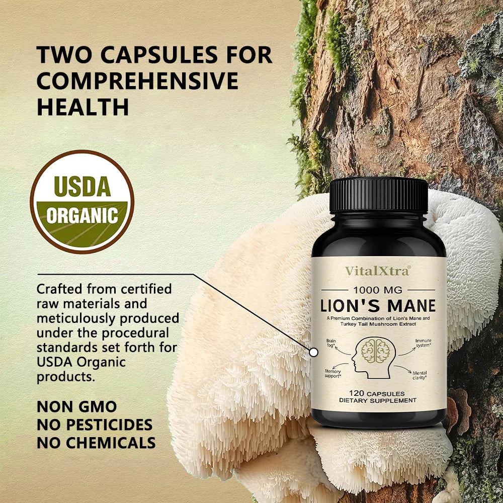 Organic Lion's Mane Mushroom Capsules – Focus & Brain Support Mushroom Supplement Qst