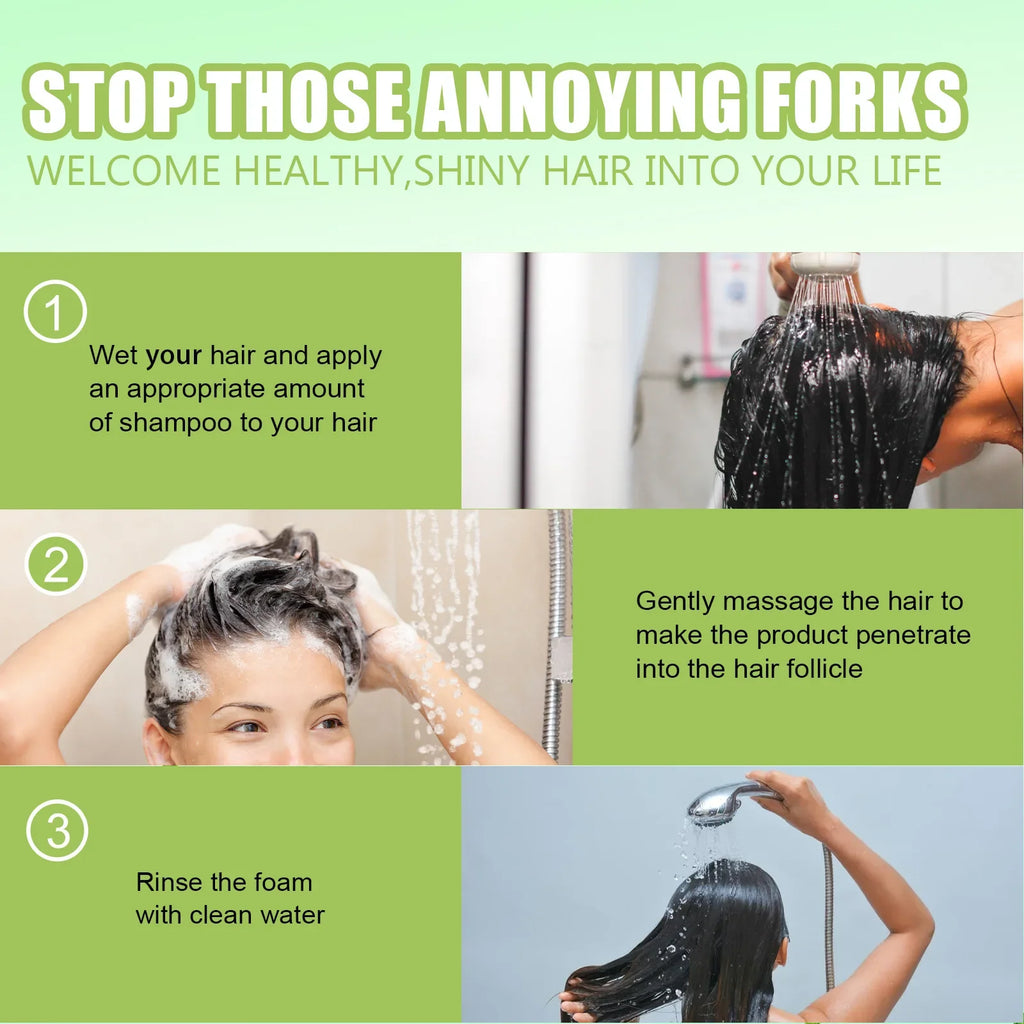 EELHOE Rosemary Nourishing Shampoo 100ml – All Hair Types Nourishing Shampoo Qst