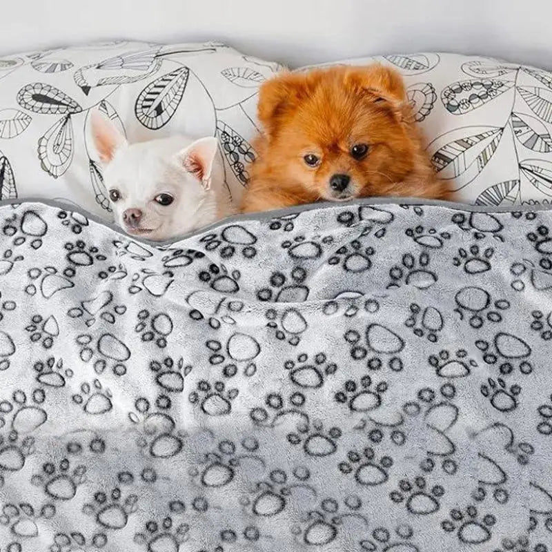 Ultra Soft Fluffy Pet Blanket – Cute Cartoon Mat for Cats & Dogs Pet Blanket Mat Qme