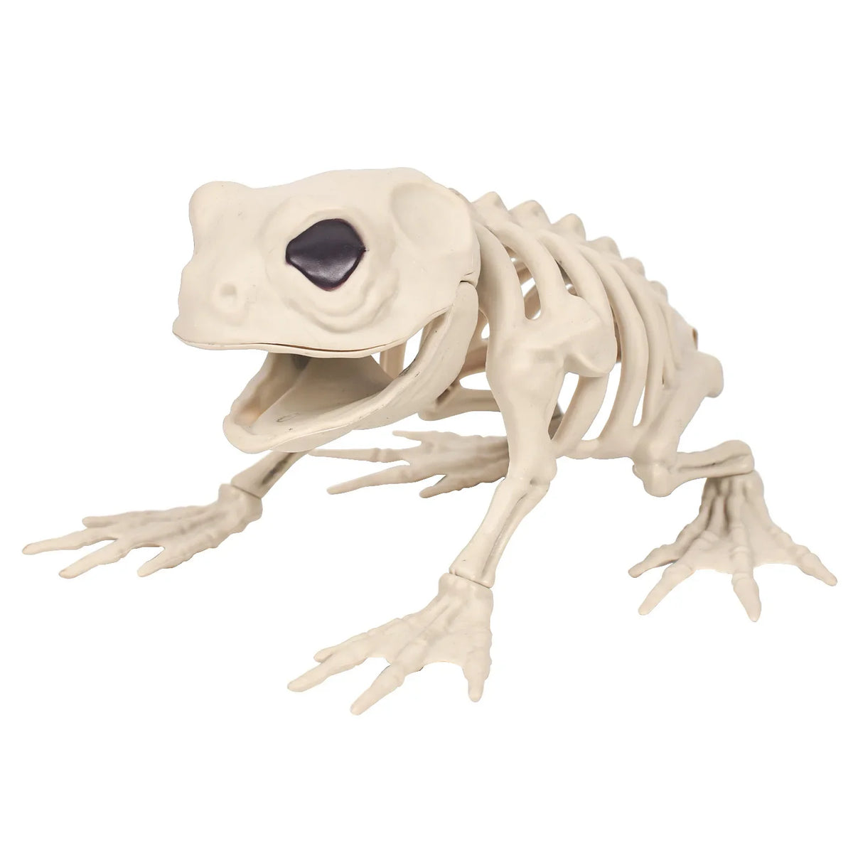 Halloween Wolf Skeleton Decoration Prop – Simulated Animal Model Halloween Decoration Prop Qme B