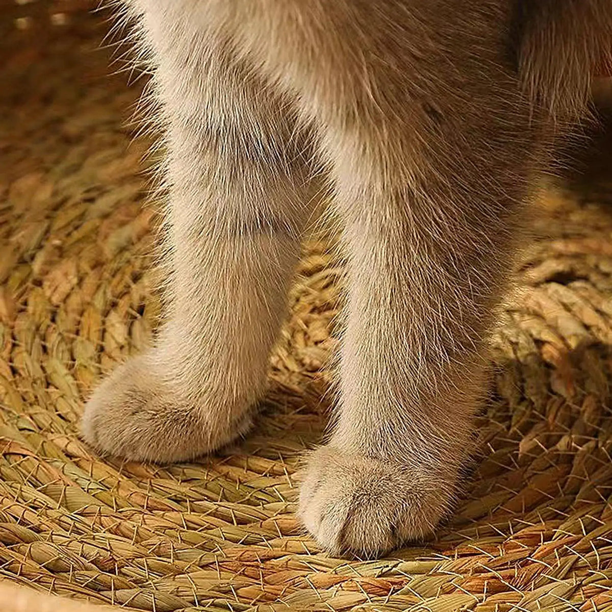 Woven Cotton Rope Round Cat Bed – All Season Pet Sleep Pillow Cat Bed Qme