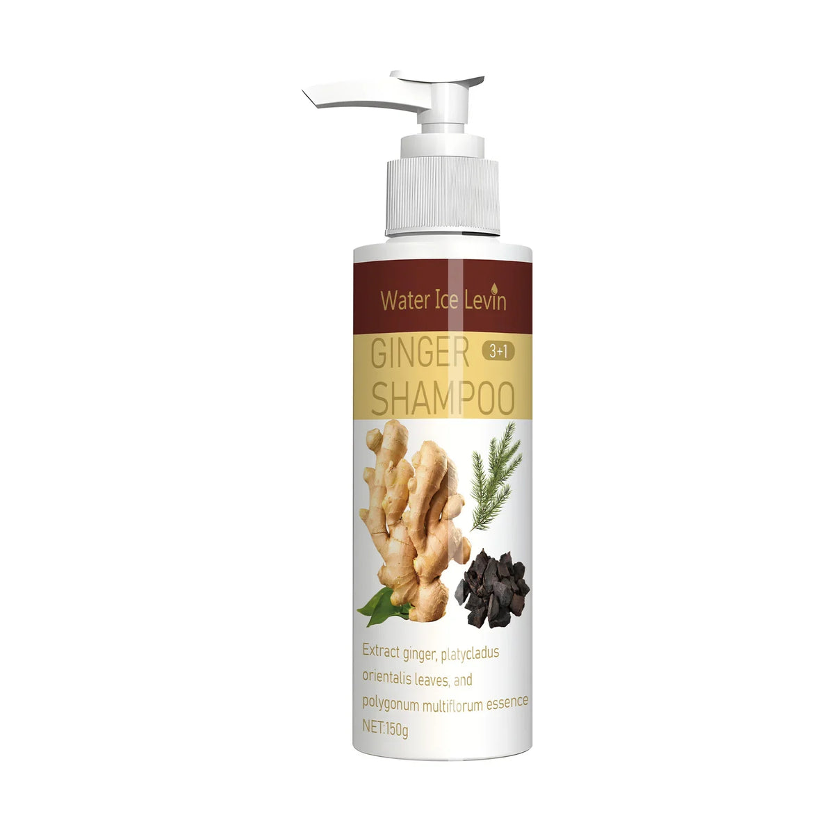 Ginger Regrowth Shampoo – Oil Control & Dandruff Removal Hair Growth Shampoo Qme A