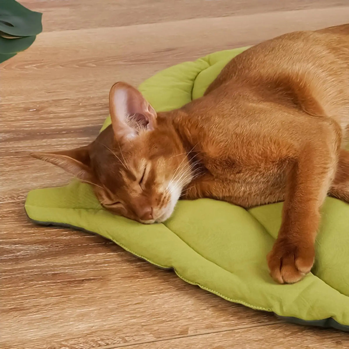 Cooling Leaf-Shape Pet Mat – Non-Slip, Portable Dog & Cat Bed Pet Cooling Mat Qme