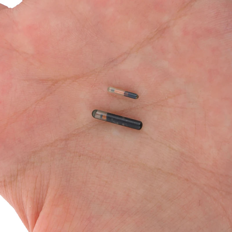 134.2KHz Implantable RFID Microchip Tag for Pets – ISO FDX-B Pet RFID Microchip Tag Qst