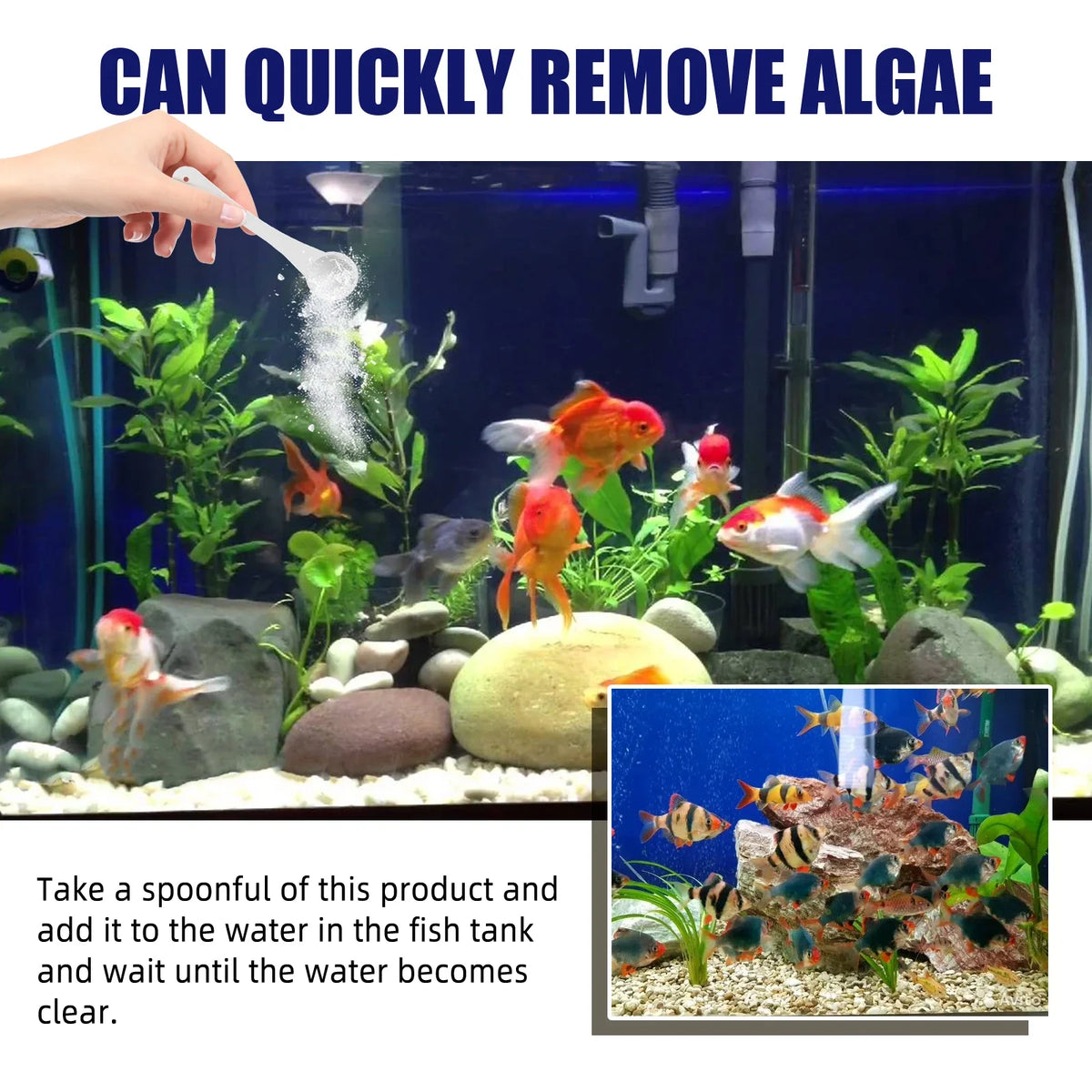 Aquarium Algae & Odor Clarifier | Fish Tank Moss Remover 50g Aquarium Clarifier Qme