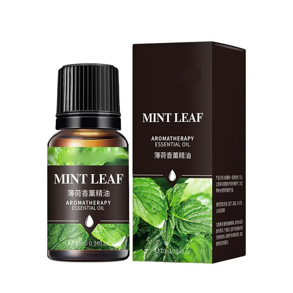 Water-Soluble Essential Oils for Aroma Diffuser & Humidifier 10ml Aromatherapy Essential Oil Qme Mint