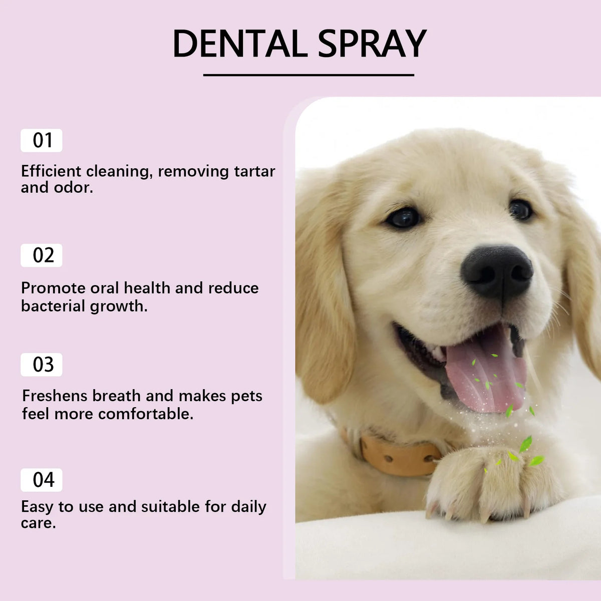 Yegbong Dog & Cat Dental Spray – Teeth Cleaning, Fresh Breath Pet Dental Spray Qst