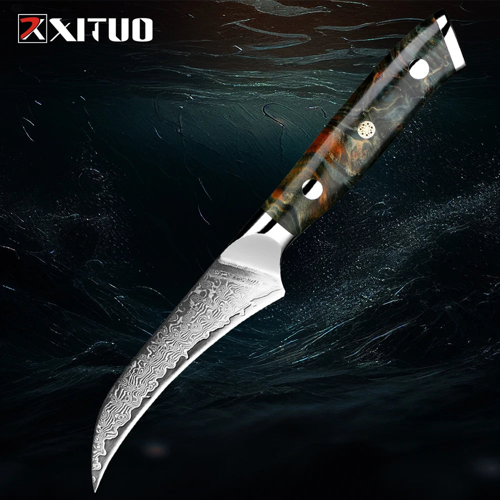 XITUO 3.5" Damascus VG10 Paring Knife – Razor Sharp, Wood Handle Damascus Paring Knife Qst Fruit knife