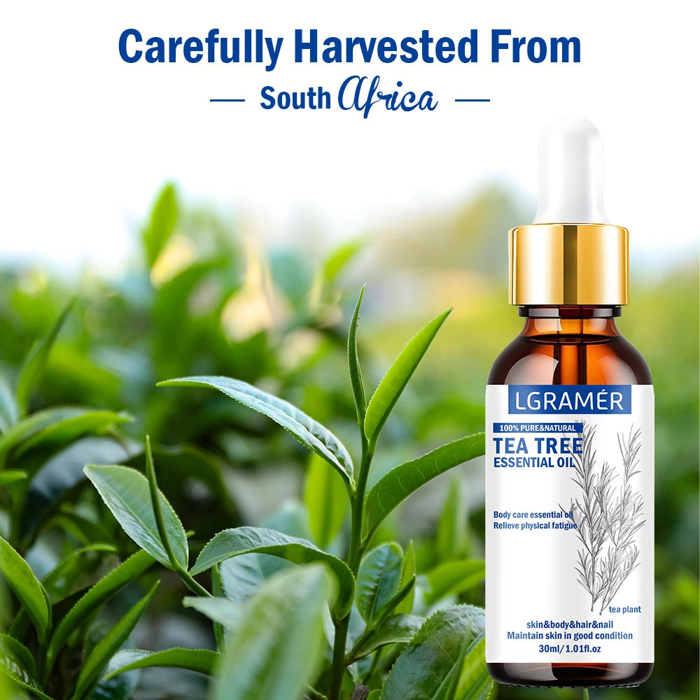 YOUNGCOME 30ml Pure Tea Tree Essential Oil for Aromatherapy Essential Oil Qst
