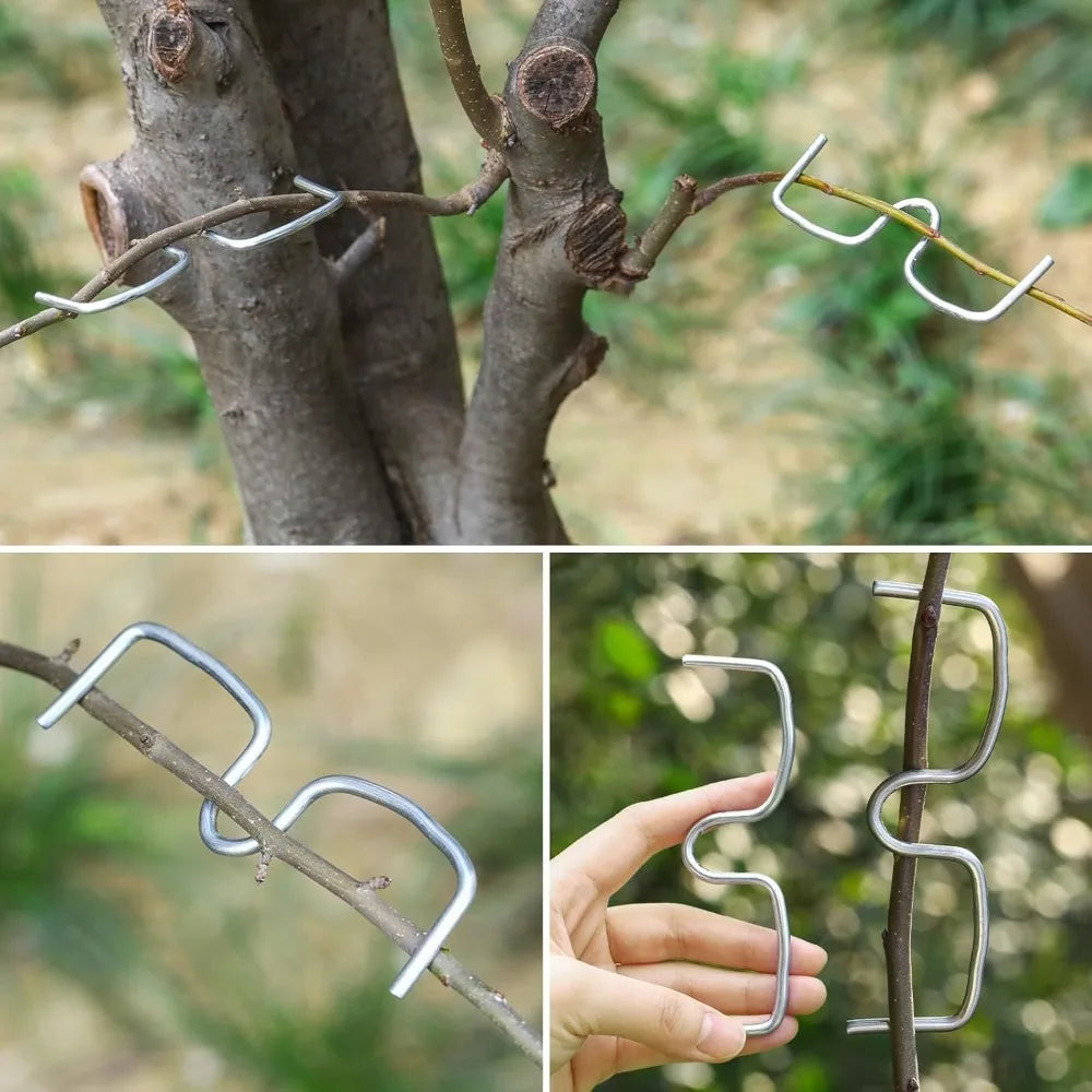 M-Type Fruit Tree Branch Trainers & Angle Benders – 10 Pcs Branch Training Tool Qme