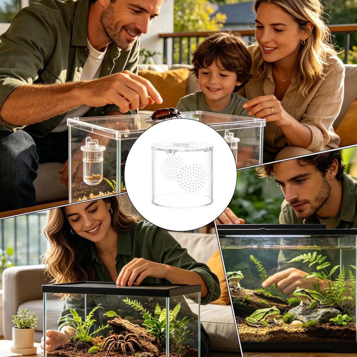 Clear Acrylic Tarantula Enclosure – Escape-Proof Ventilated Terrarium Invertebrate Terrarium Qme