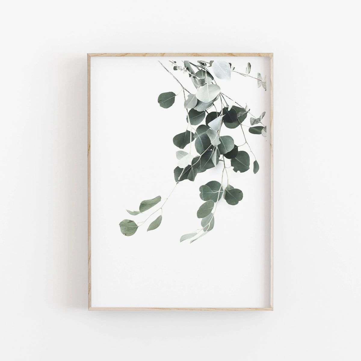 Nordic Botanical Canvas Poster – Eucalyptus Palm Leaf Wall Art Canvas Wall Art Qst 04 20x30cm Unframed