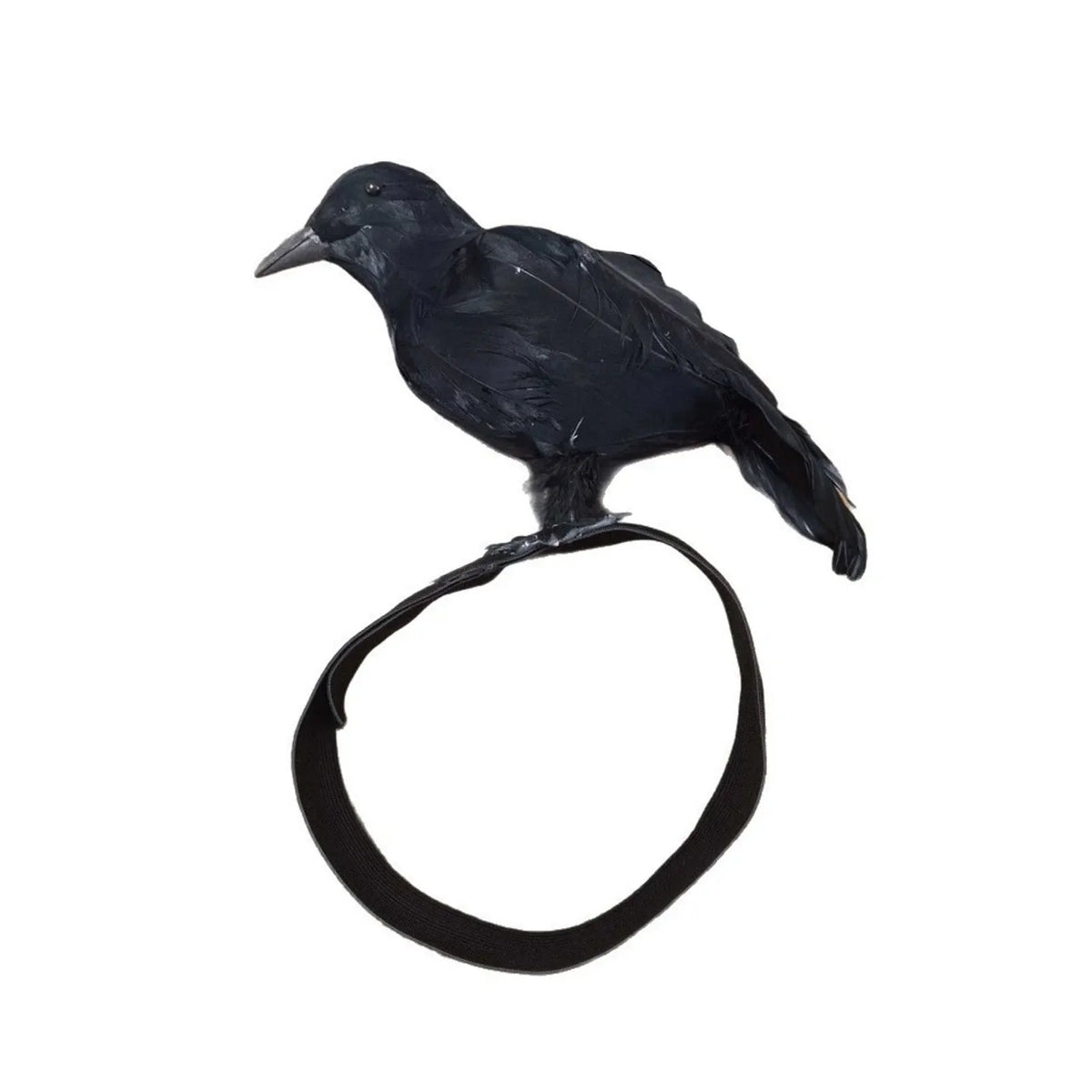 Halloween Black Feather Crow Wings Cosplay Costume Prop Costume Wings Prop Qme