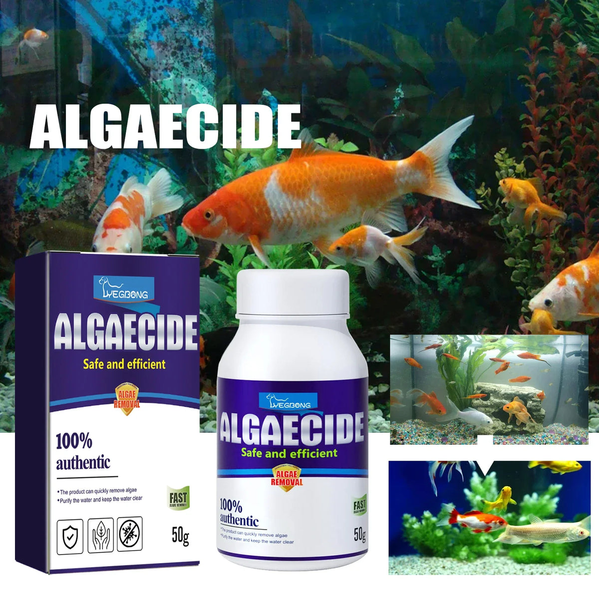YEGBONG Aquarium Algae Removal Agent – Purify Tank Water Aquarium Algae Treatment Qme