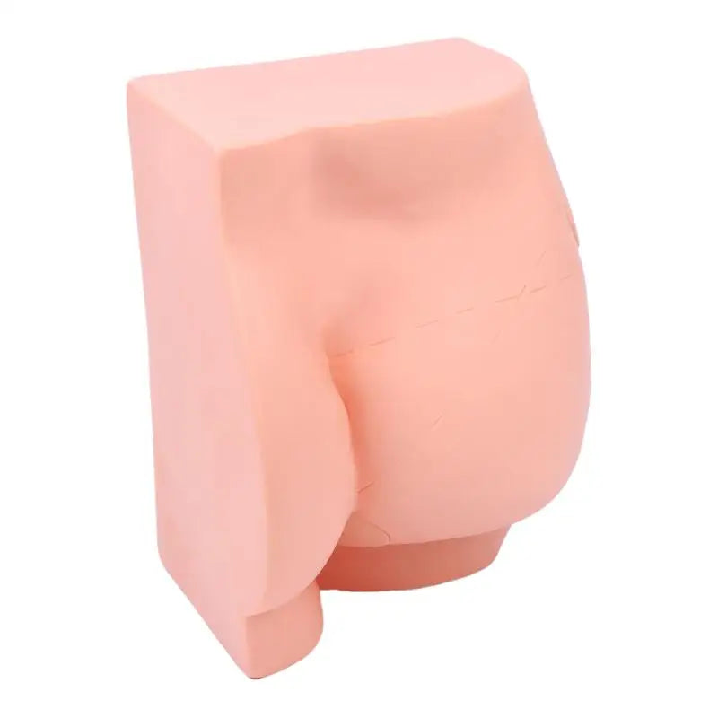 Hip Injection Simulation Anatomical Manikin | Reusable PVC Model Anatomical Training Model Qme